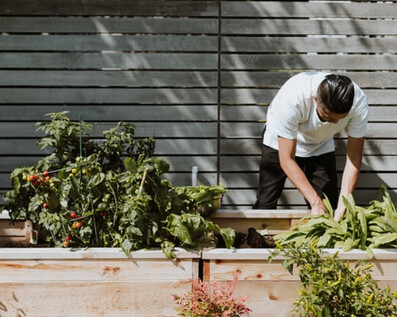 man working in community garden with biochar