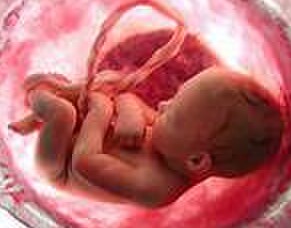 Should I detox for pregnancy?