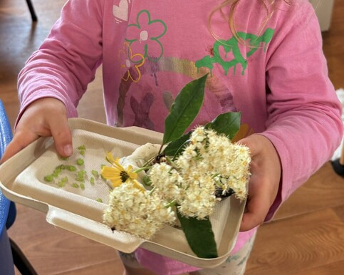 Infants and Toddlers