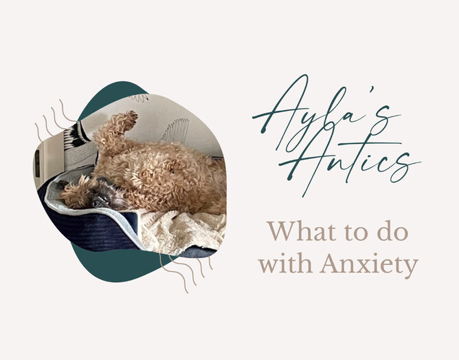 Anxiety - what to do: Rest, Recover and Rejuvenate Often | Lisa Almand Consultancy | Wellington