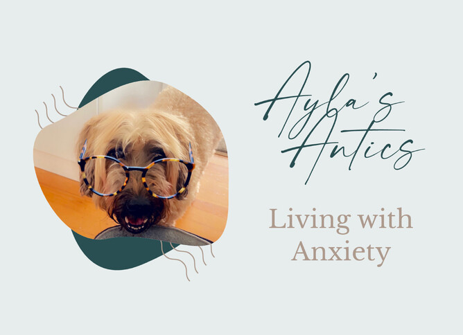 Living With Anxiety | Lisa Almand Consulting | Wellington