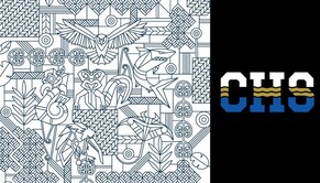 New look sports teams