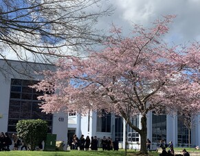 Welcome to the CHS Foyer