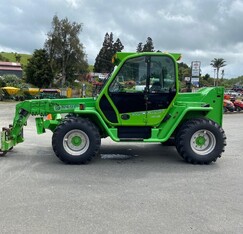 Merlo