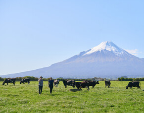 Event: Register for 2025 Afimilk farm Open Day&#039;s