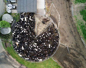 Event: Find us at South Island Field Days 2025