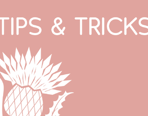 The Role of Effective Leadership in Business Success