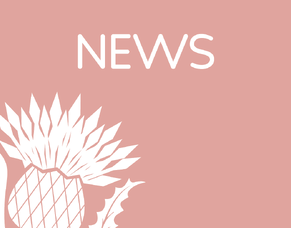 Gunn Coaching &amp; Advisory: How I Can Help You or Your Company Thrive