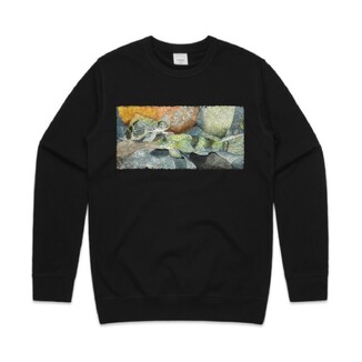 Torrentfish / Panoko