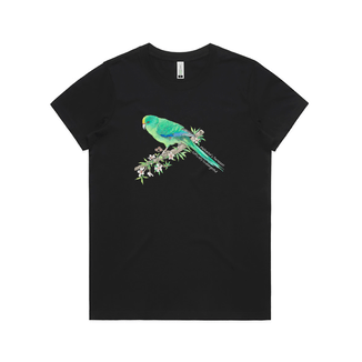 Malherbe's Parakeet/Orange-fronted Parakeet /Kākāriki karaka