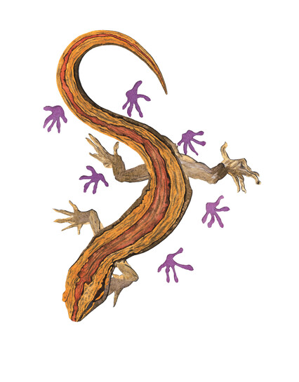'Southern Striped Gecko Only Leaves Footprints' original watercolour painting
