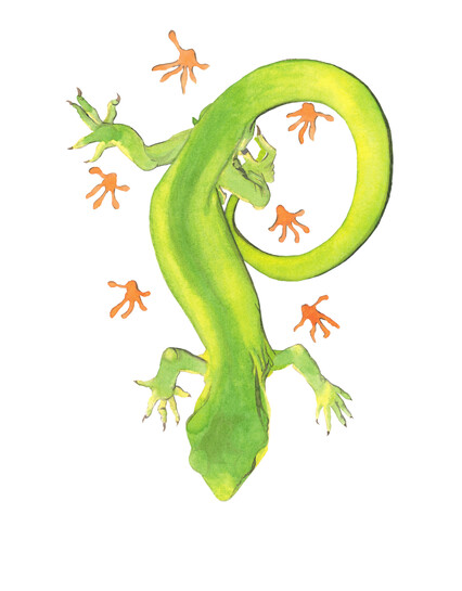 'Marlborough Green Gecko Only Leaves Footprints' original watercolour painting