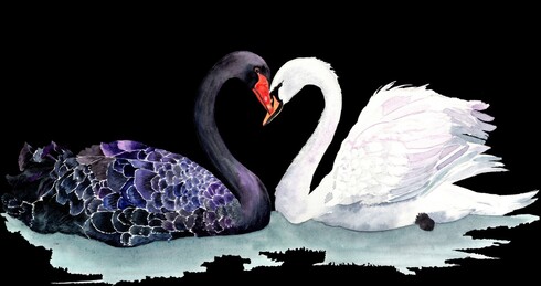 'Swan Lake' original watercolour painting