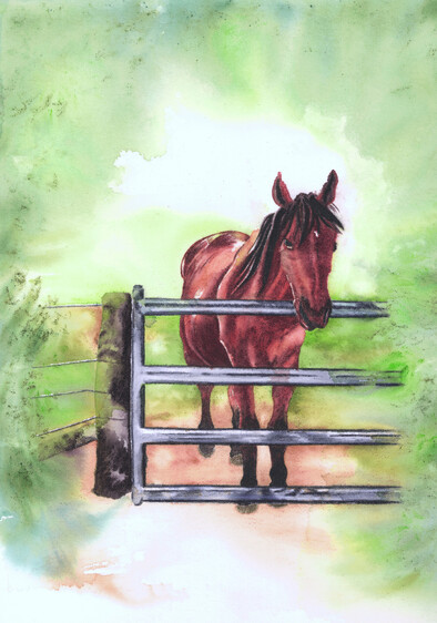 Horse memorial portrait