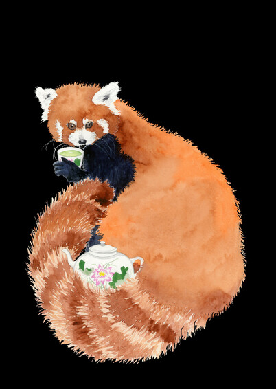 'Red Panda Tea Party' original watercolour painting