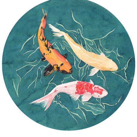 Eurasian Blue Tit Bird (Cyanistes caeruleus)