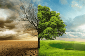 Building An Abundant Business - Whatever That Means To You