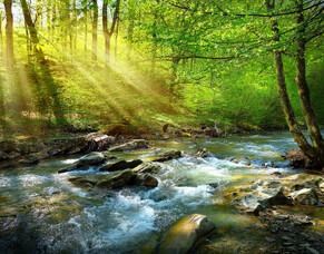 What to do with a loved one&rsquo;s ashes