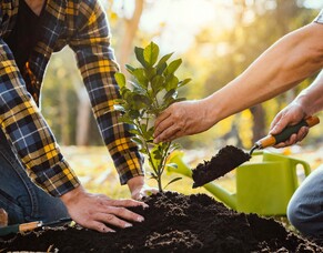 Ways to celebrate a life