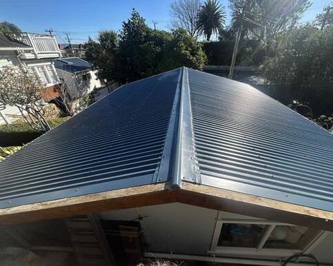 roof painting, roof re screws and washdowns