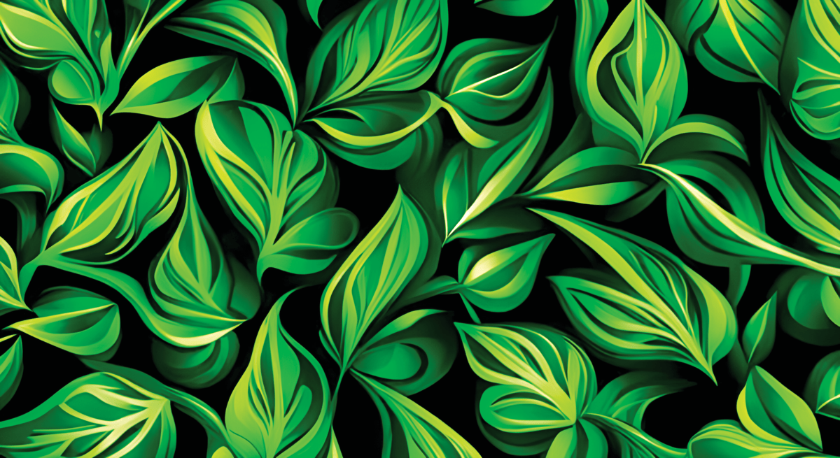 Lawn & Section Maintenance Whanganui Section Envy