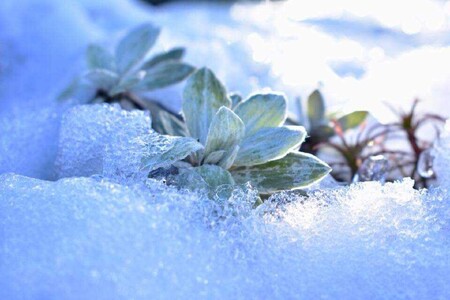 Does your environment support your growth?