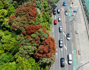 Looking Forward: New Opportunities in New Zealand&rsquo;s Infrastructure