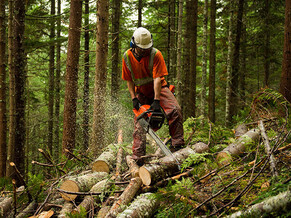 Why Offline Safety Apps Matter for NZ Construction Sites