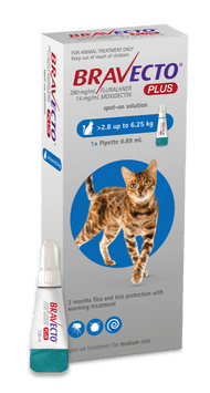 Bravecto Plus Medium Cat