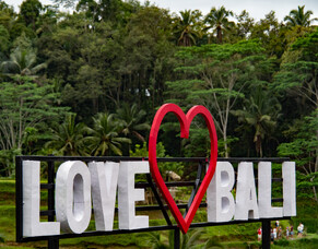 Bali e-VoA Visa: Step-By-Step Guide 2025