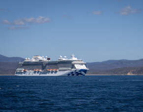 Beginner&rsquo;s Guide to Cruising