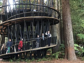 Creative Construction, Reedwoods Rotorua