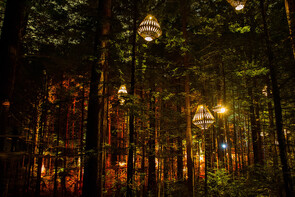 Redwoods Night Treewalk featuring David Trubridge lights