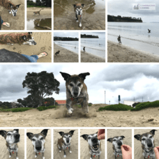 Walk = Adventure = FUN!