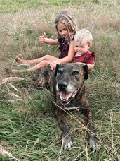 🐶👧👶 Aim for co-existing rather than being besties 👶👧🐶