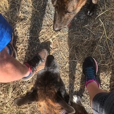 What would happen if you just stopped walking?