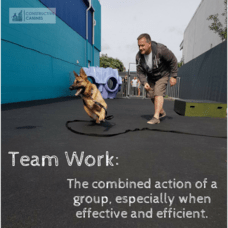 Team Work