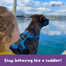 Stop Behaving Like A Toddler