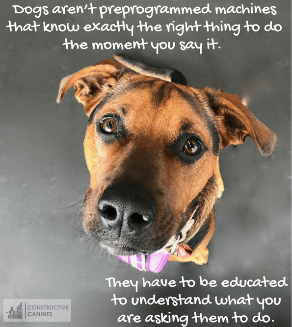 Dogs aren't preprogrammed