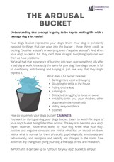 The Arousal Bucket