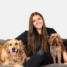 Augusta from Constructive Canines