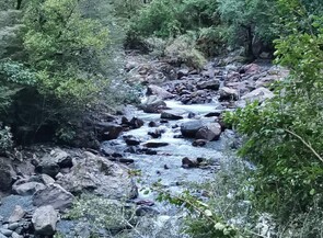 Mt Somers and Sharplin Falls Track