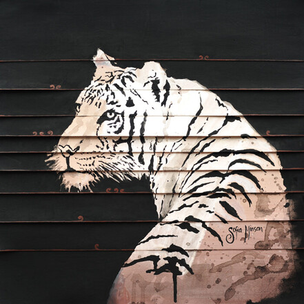 "Mauri of the White Tiger"