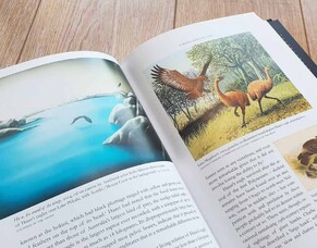 "Birdstories" -  a book by Geoff Norman features Sofia Minson's painting