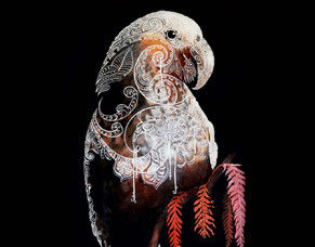 Front Cover of Metropol Magazine - Minson's "The Kaka is Calling"