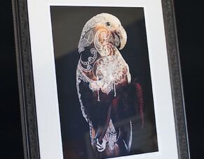 Orakei School Art Exhibition and Sale 14-16 November 2014