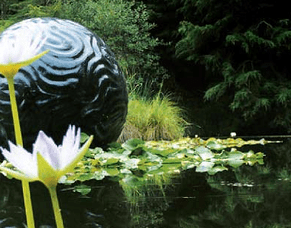 Coming to you live! Artists painting in person at Waikato Sculpture Park