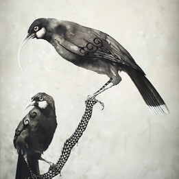 Canvas art nz - Nga huia