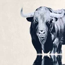 Wise as serpents, harmless as doves wall art nz