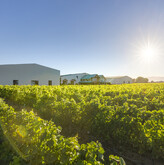 Rabbit Island and Old Coach Road